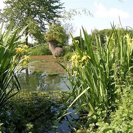 Vakantiehuis Hoeve Rott Vakantiewoningen Vijlen